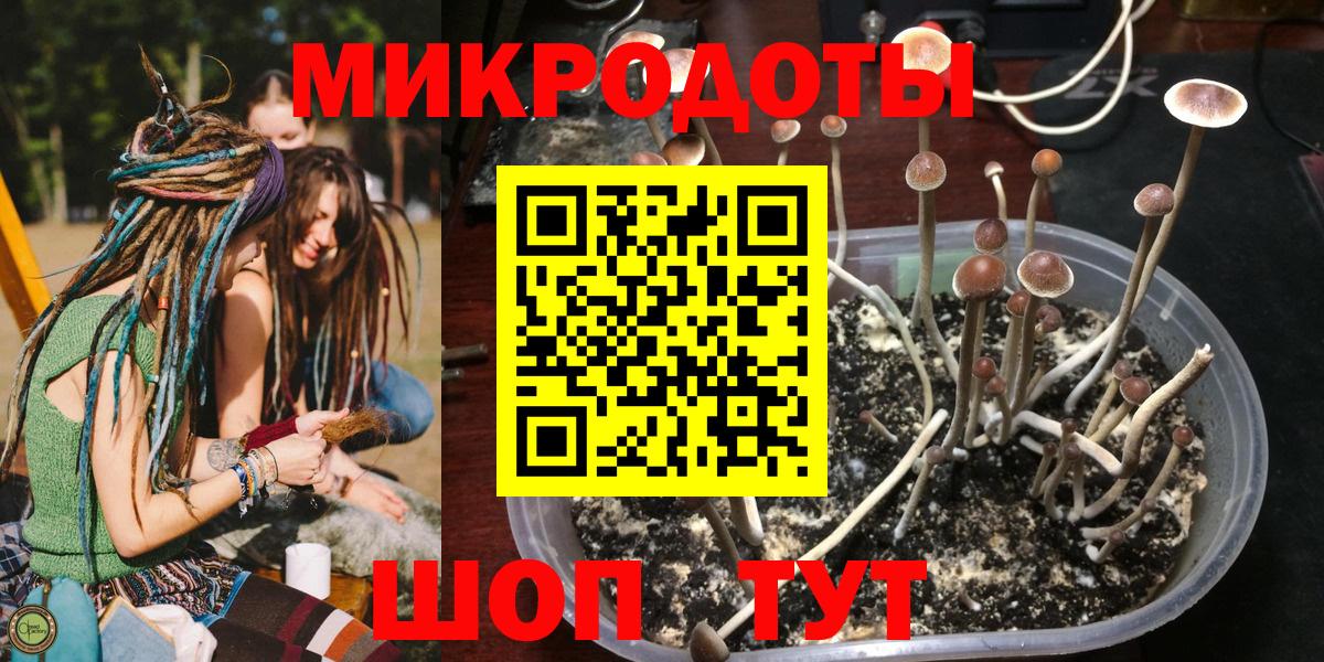 купить   Вход с VPN  Шелехов  Галлюциногенные грибы ЛСД 